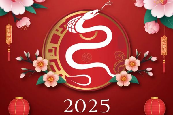 Tet duong lich 2025